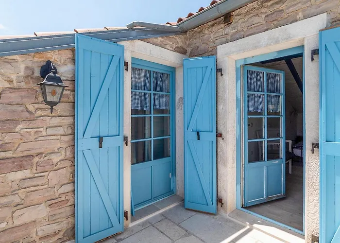 Julijud Brajkovici (Pazin)