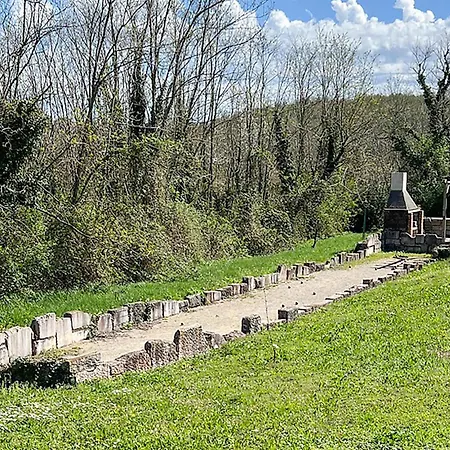 Julijud * Brajkovici (Pazin)